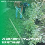Озеленение придомовой территории Озеленение придомовой территории